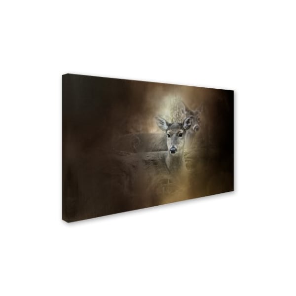 Jai Johnson 'In Our Woods' Canvas Art,22x32